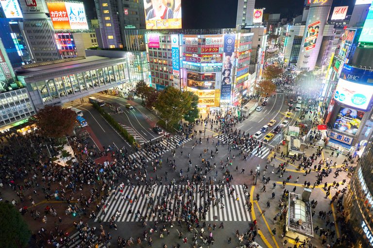 Modern Tokyo: Shibuya, Shinjuku & Akihabara Guide for First-Timers