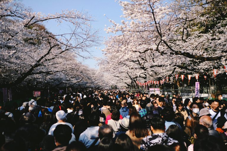 Tokyo’s Best Parks, Gardens & Skyline Views: A Nature Lover’s Guide