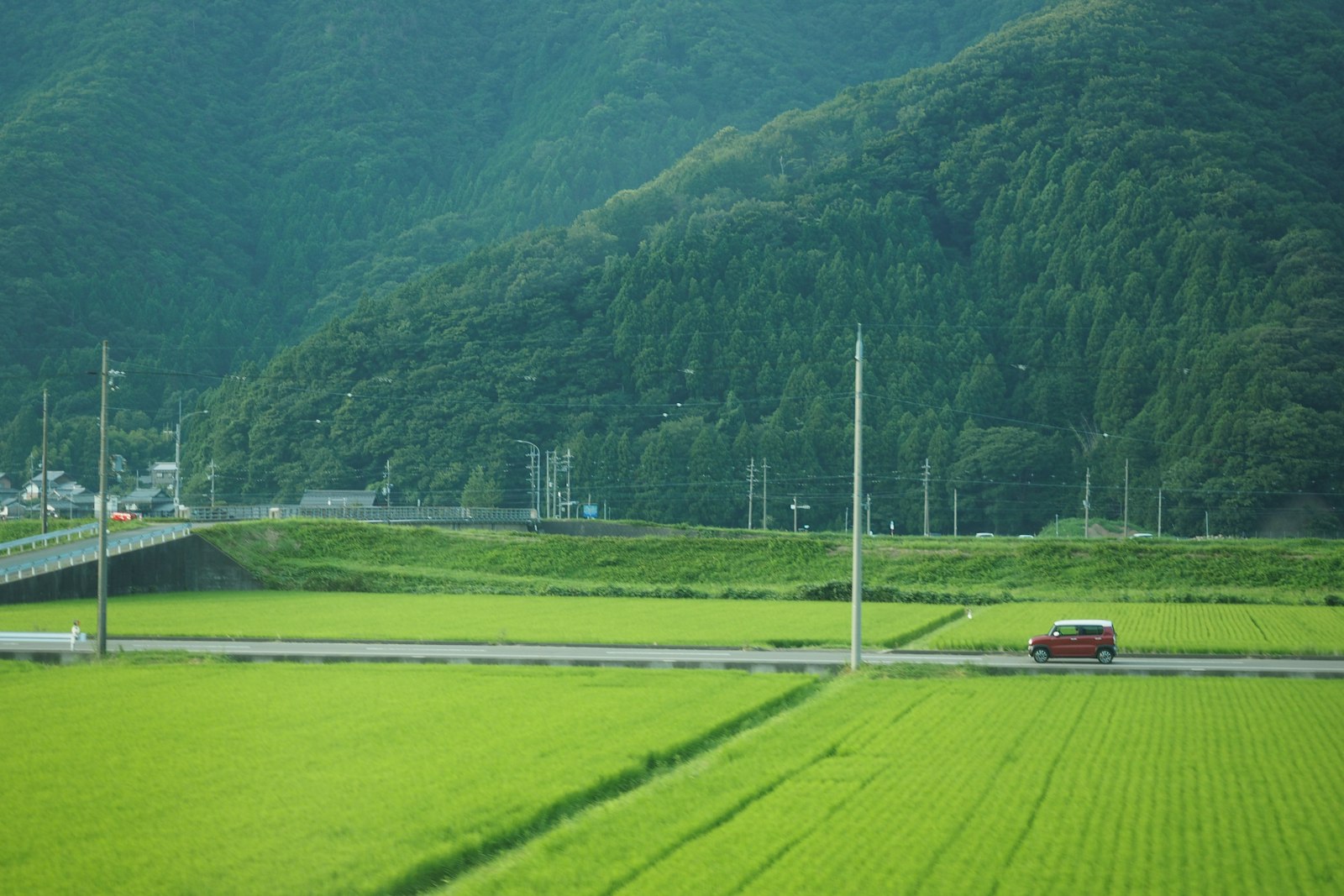 Red car driving on a road through green rice fields in Gifu