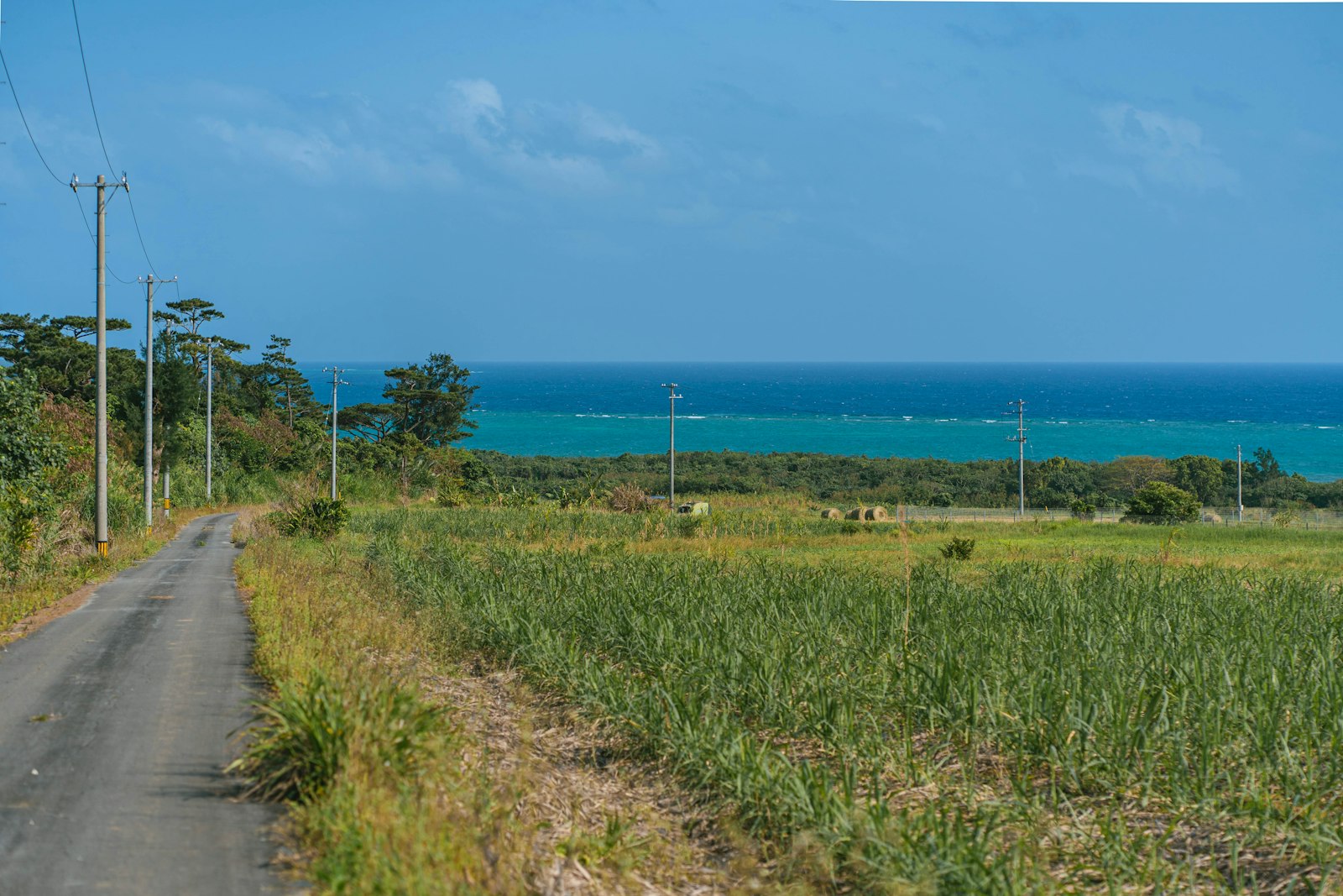 Quiet coastal road next to the ocean in Okinawa