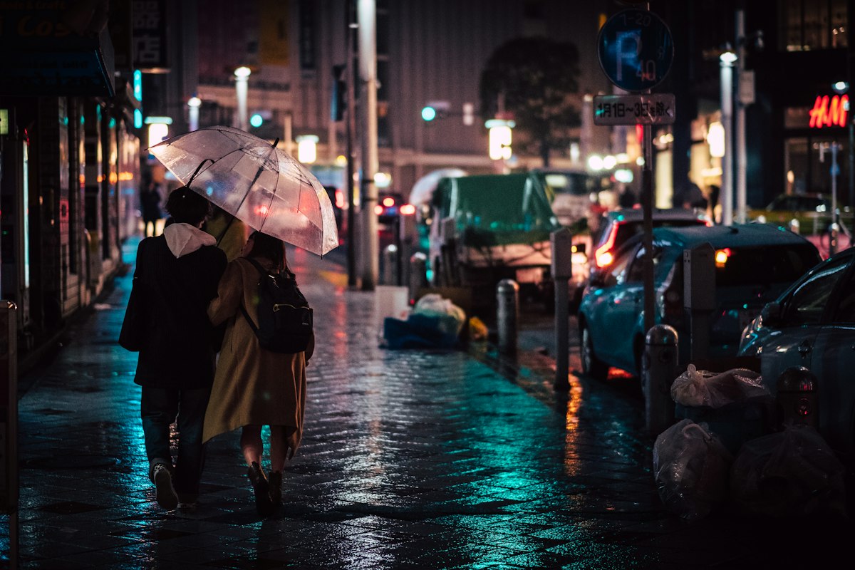 Pedestrians holding umbrellas on a wet city street