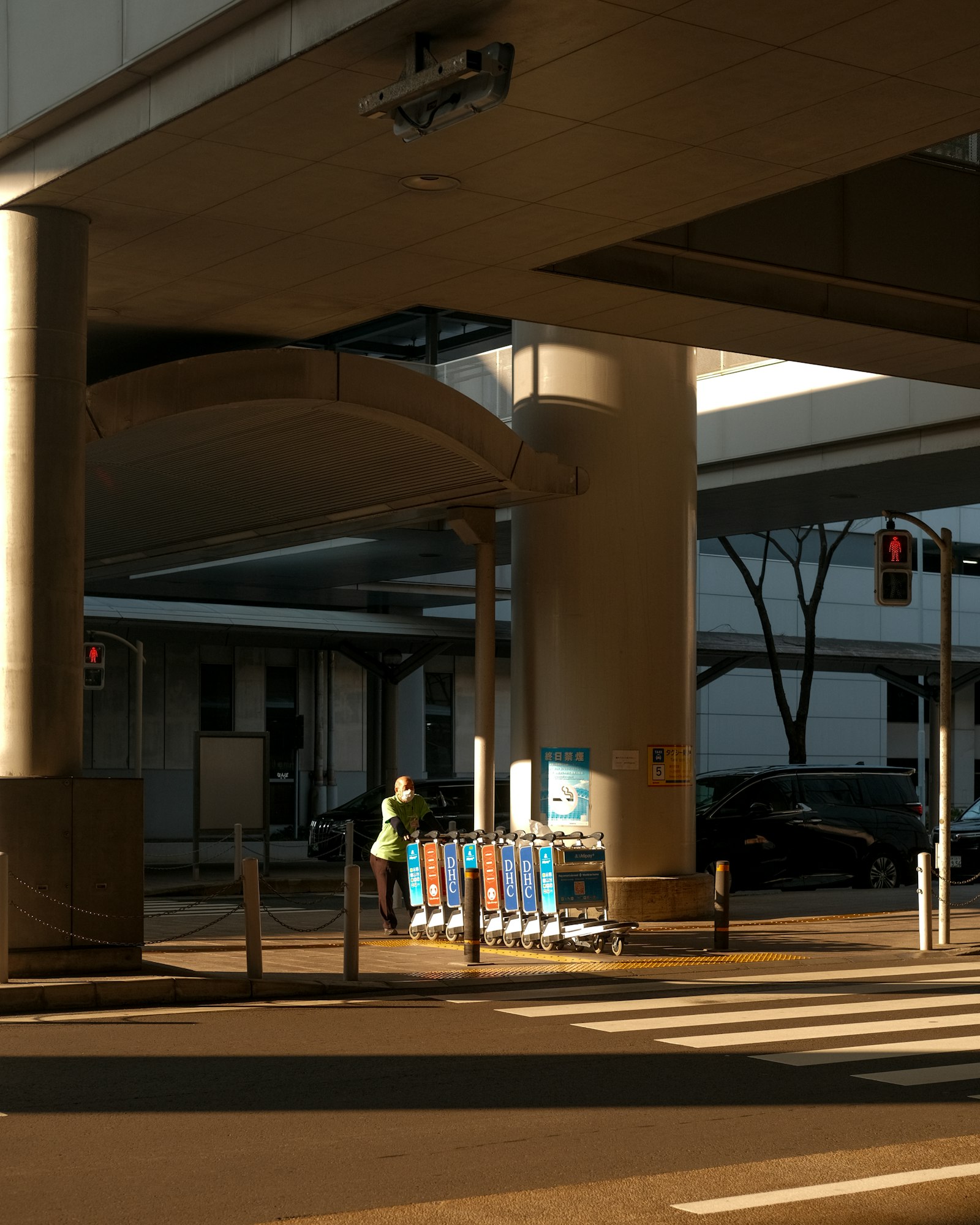 Airport worker pushing a line of luggage carts in morning light
