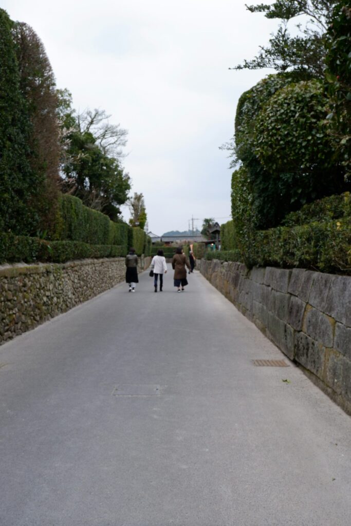Hedge-lined street in the Chiran samurai residence district