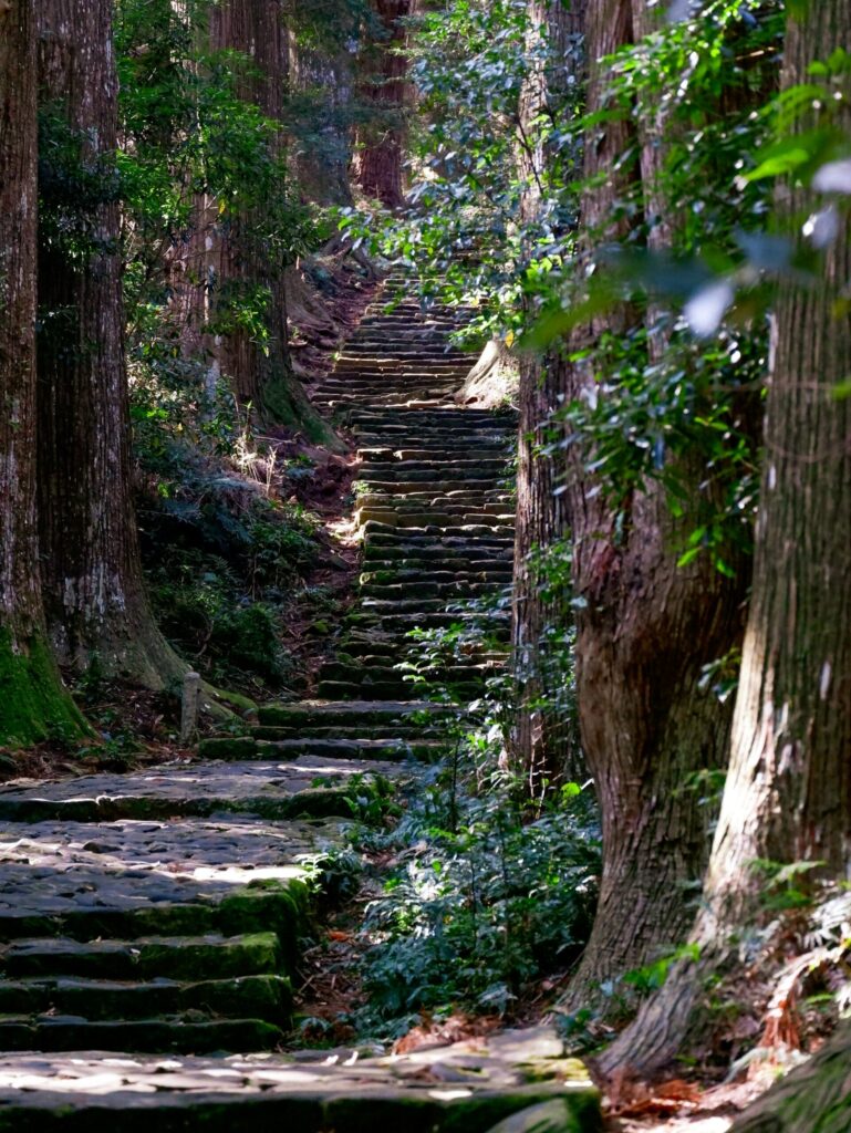 Moss-covered stone steps of the Daimonzaka slope through tall cedars on the Kumano Kodo