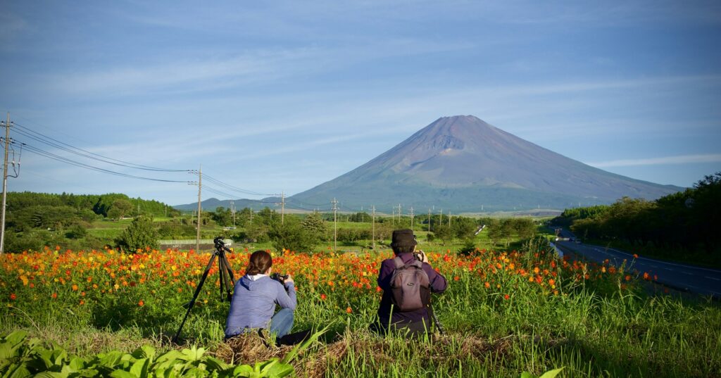 Photographers in a flower field in Gotemba facing Mount Fuji on a clear day