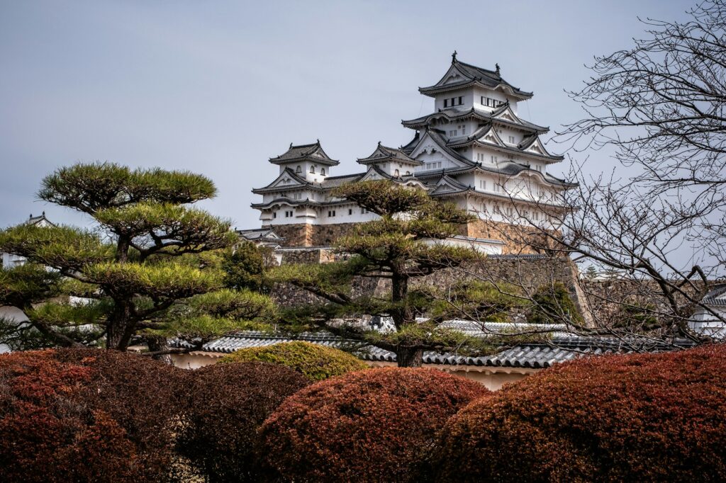 Himeji Castle rising above the trees of its hillside grounds in Himeji city