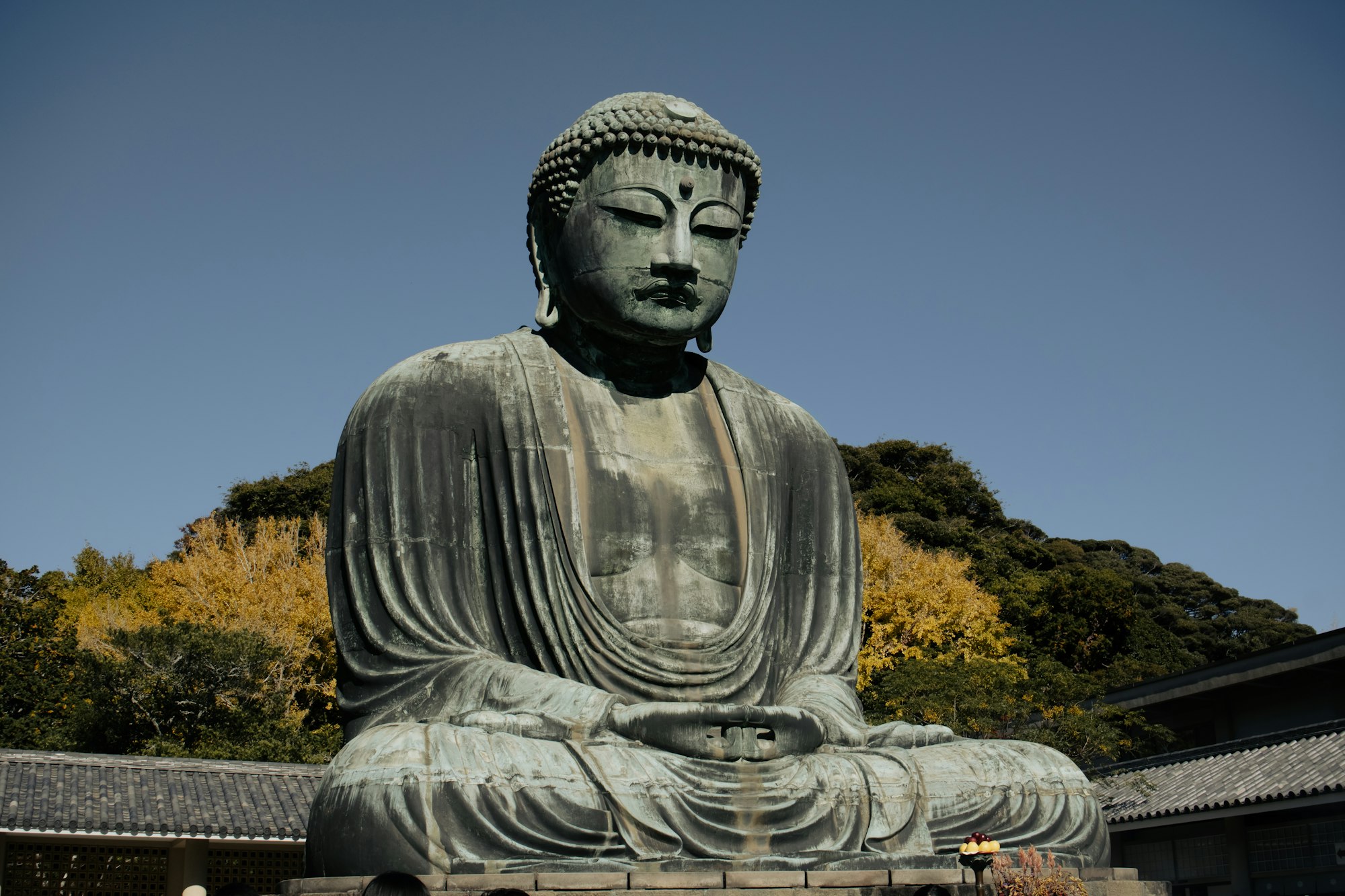 The bronze Great Buddha of Kamakura seated outdoors at Kotoku-in Temple