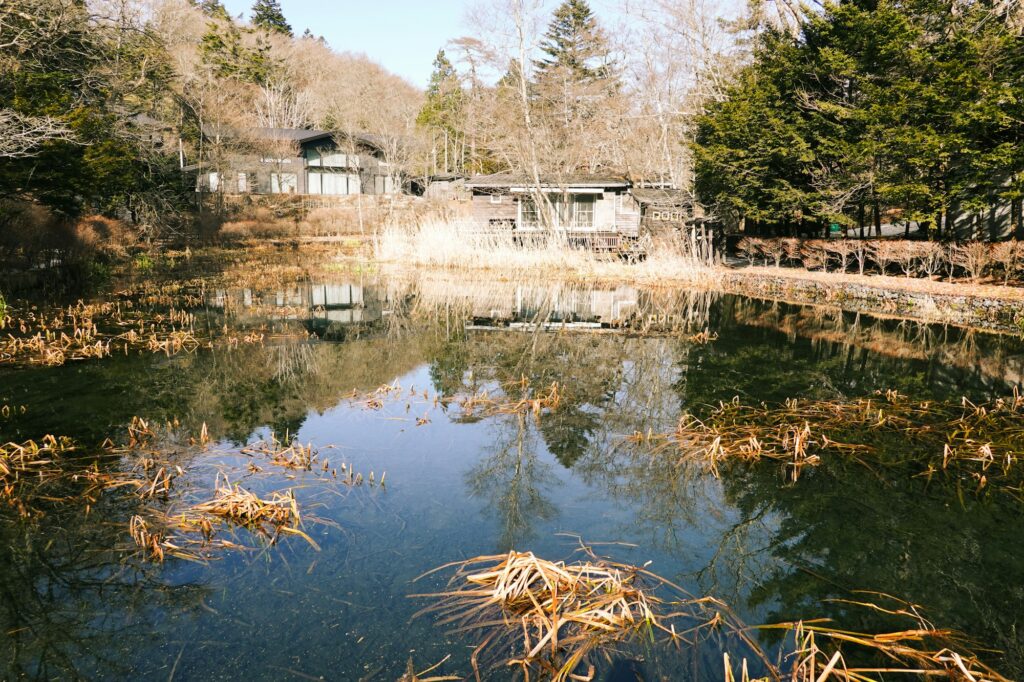 A pond and trees reflected in the water near Karuizawa Station