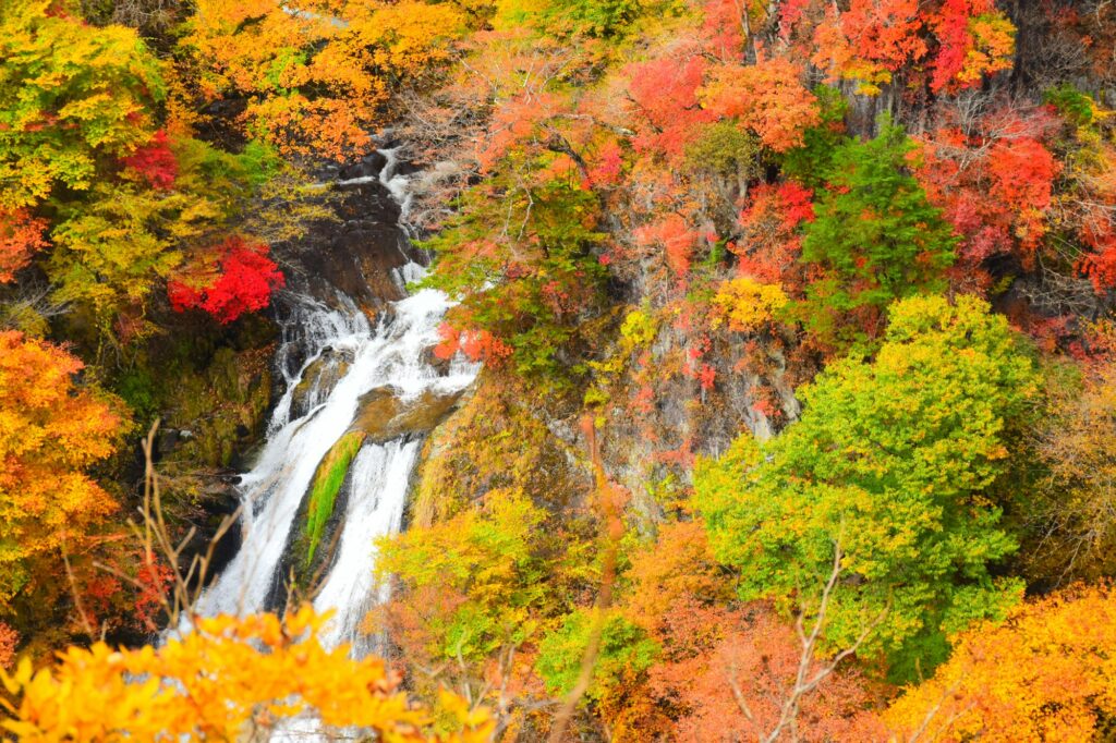 Kirifuri Falls framed by red and orange autumn leaves