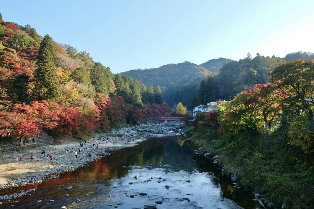 Autumn maples and a red bridge over the Tomoe River at Korankei Gorge in Toyota City