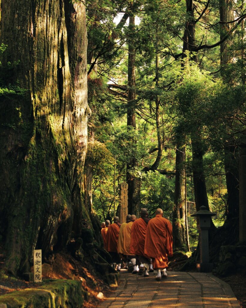 Monks in orange robes walking among tall cedar trees on Koyasan