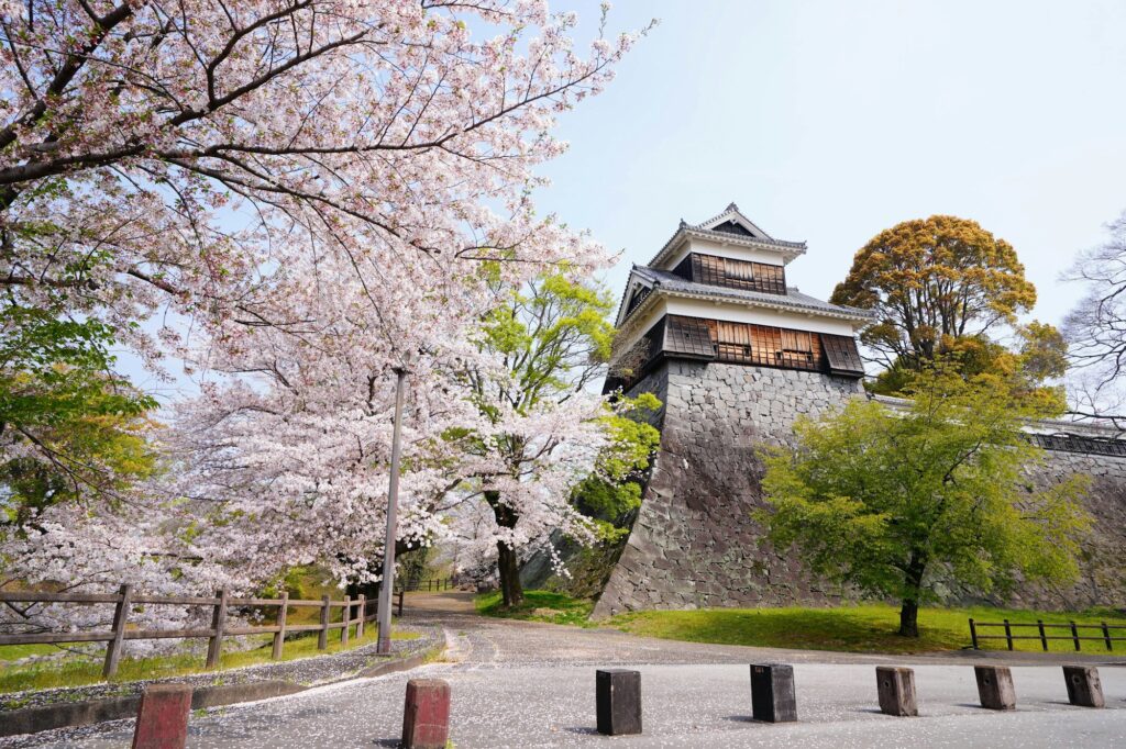 A Kumamoto Castle turret above stone walls framed by cherry blossoms
