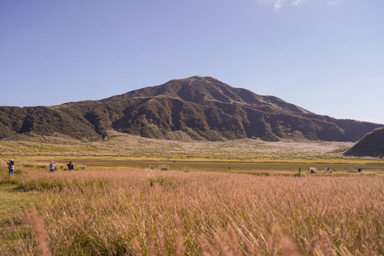 Visitors walking through golden grassland below a volcanic peak at Aso