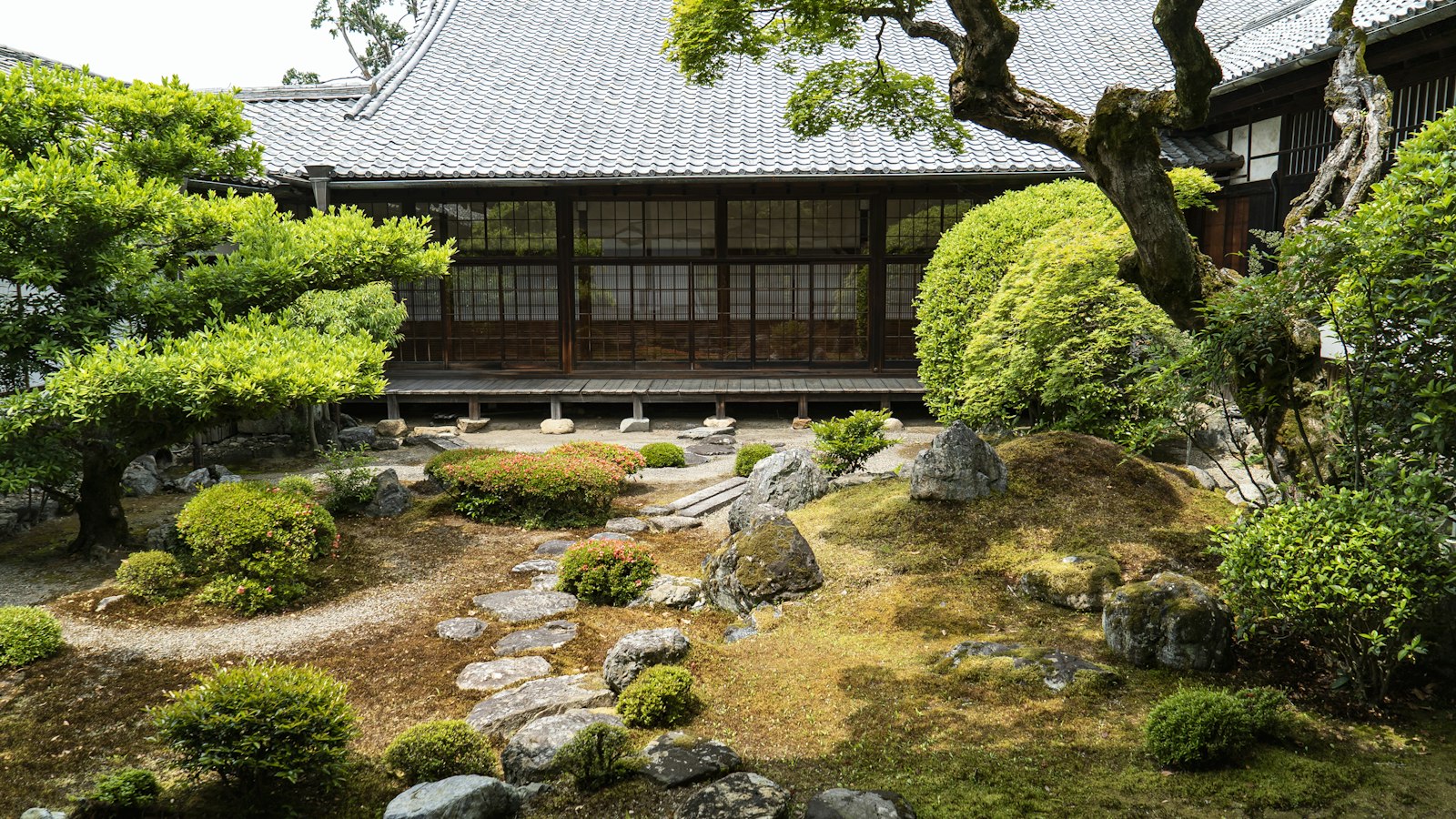 Traditional temple garden with pond and pines in Kyoto