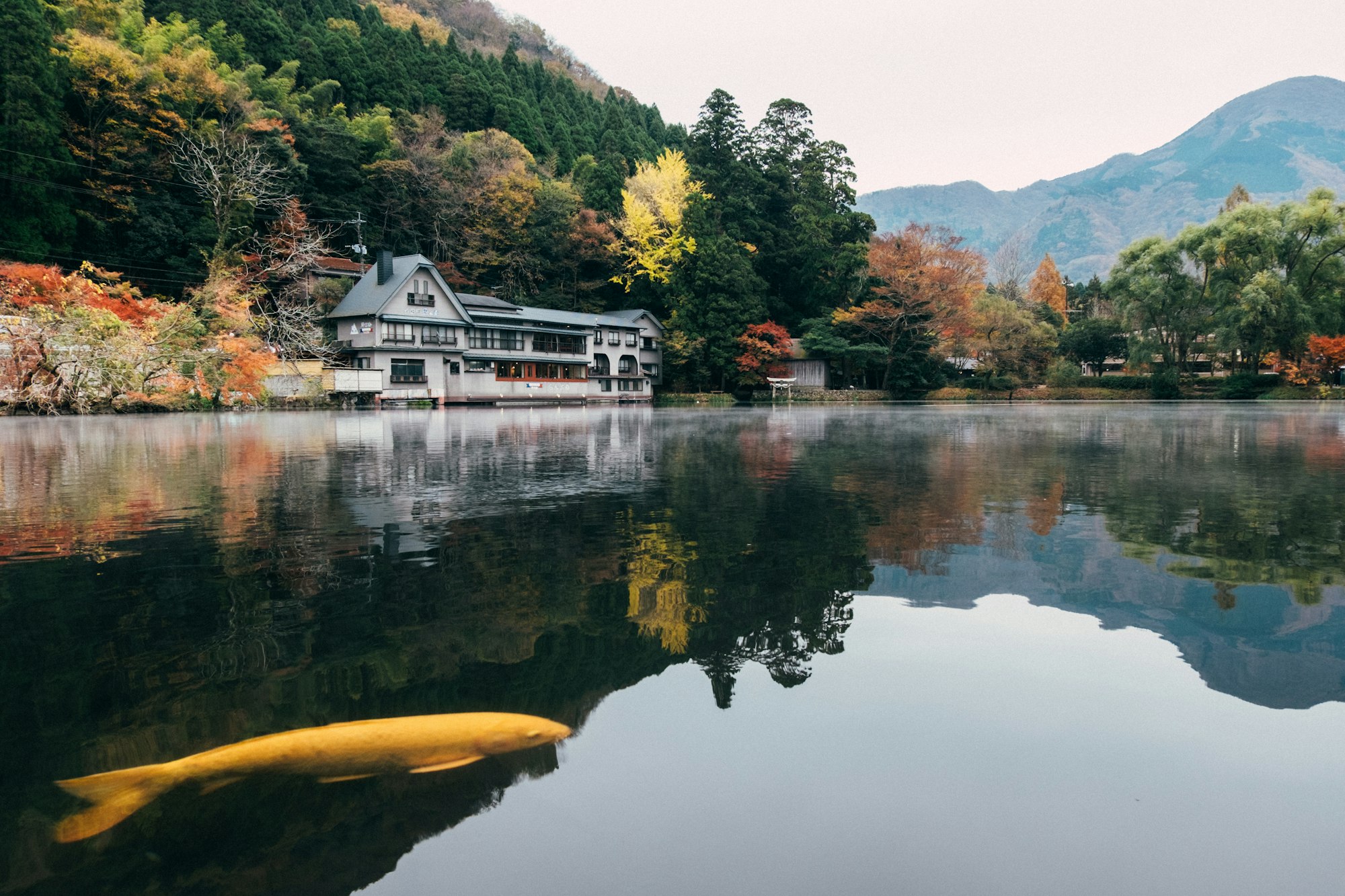 Lake Kinrin in Yufuin reflecting autumn trees and the mountains