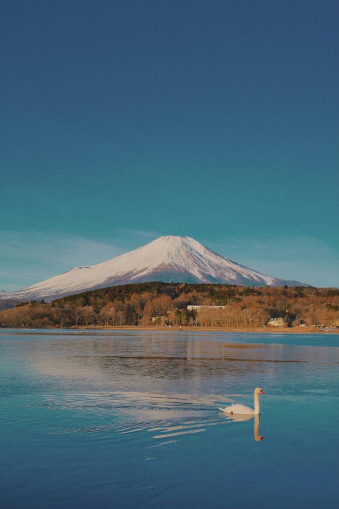 Mount Fuji rising above the shore of Lake Yamanaka