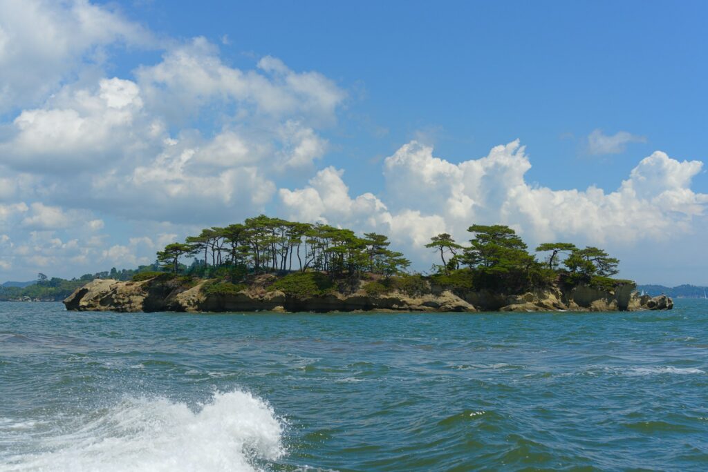 A small pine-covered island in Matsushima Bay