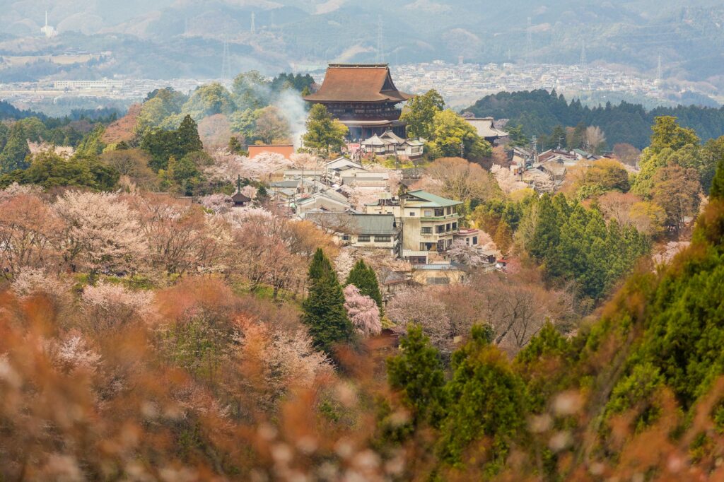 The hillside town of Mount Yoshino with cherry trees in bloom and the large temple hall of Kinpusen-ji