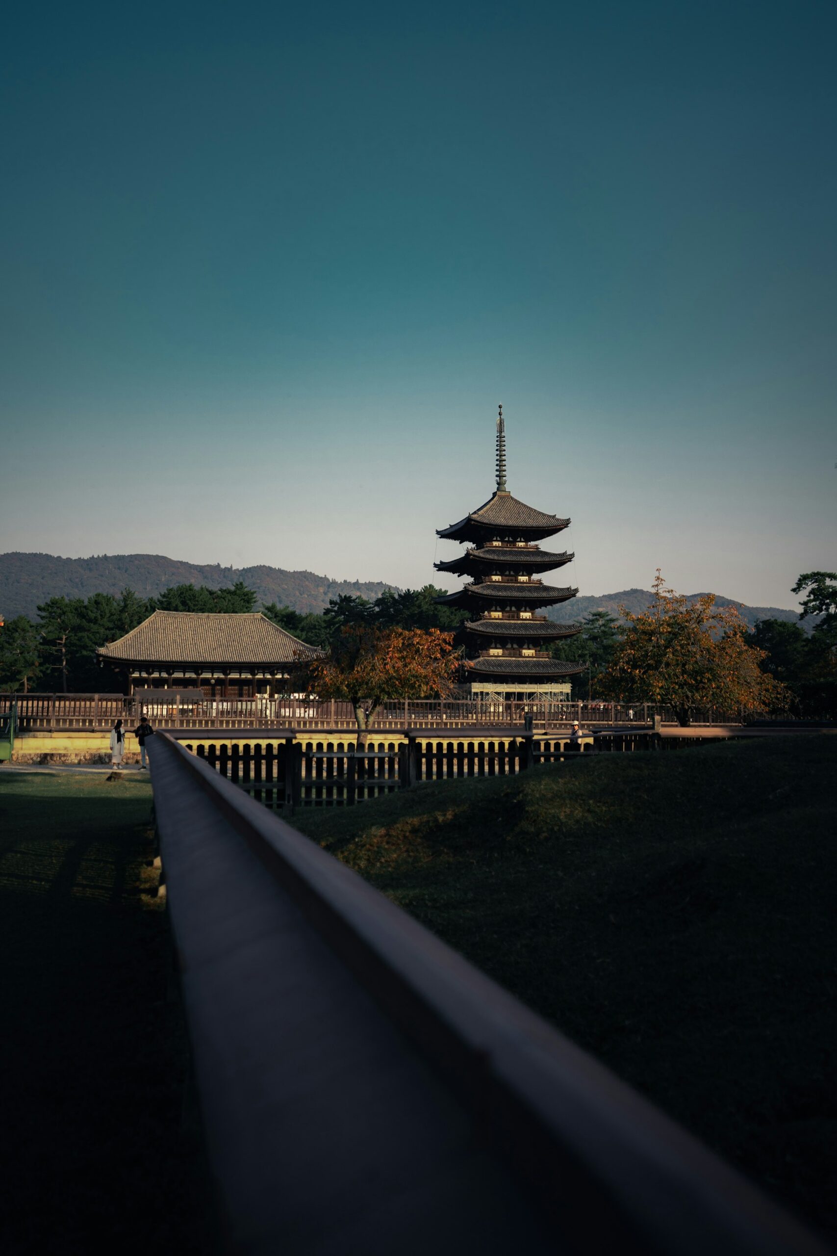 A five-story wooden pagoda and temple hall in Nara at golden hour