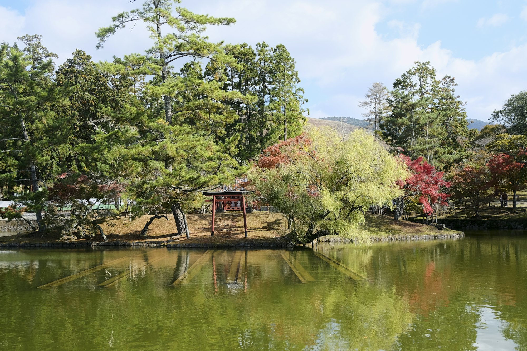 A pond in Nara Park surrounded by pine trees and early autumn color