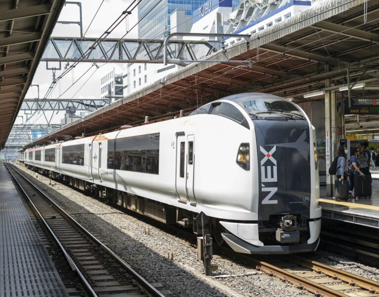 Narita Express train waiting at a platform