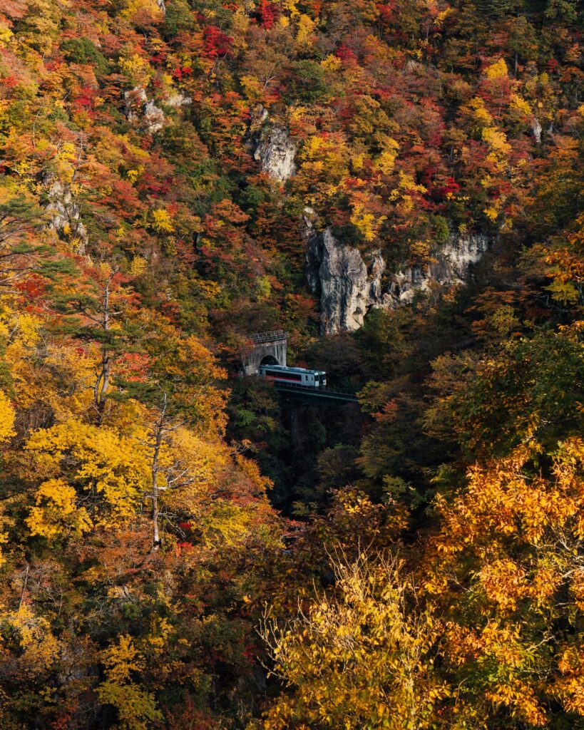 A train emerging from a tunnel in Naruko Gorge surrounded by autumn foliage