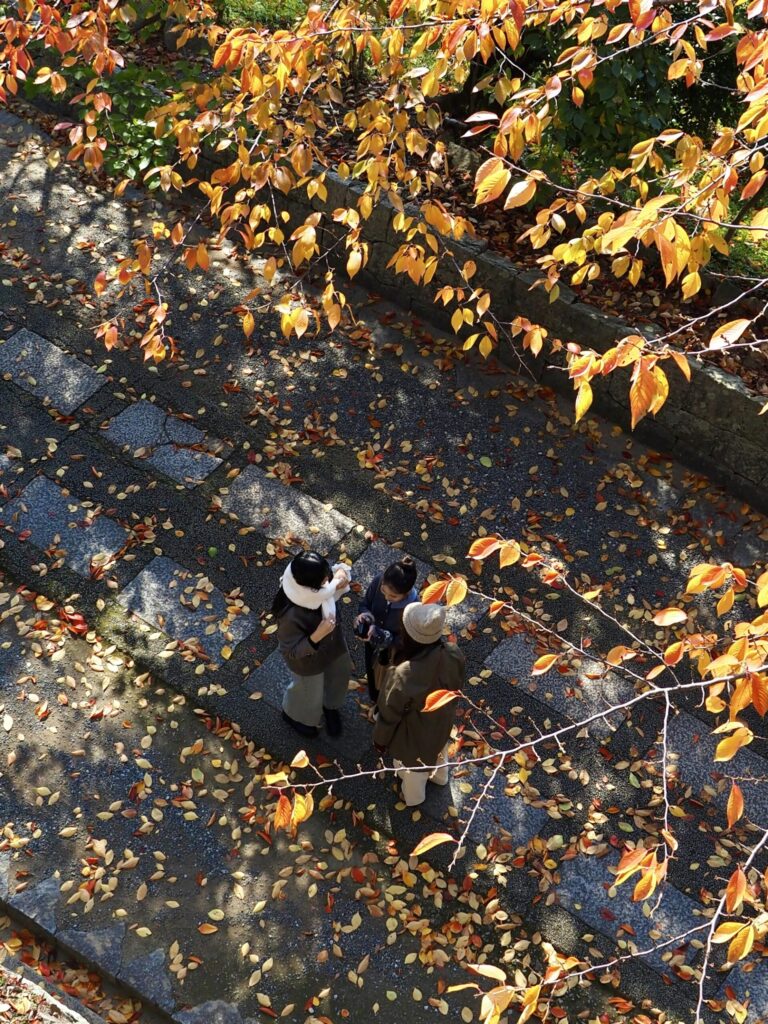 Visitors on a stone path covered in autumn leaves in Okayama