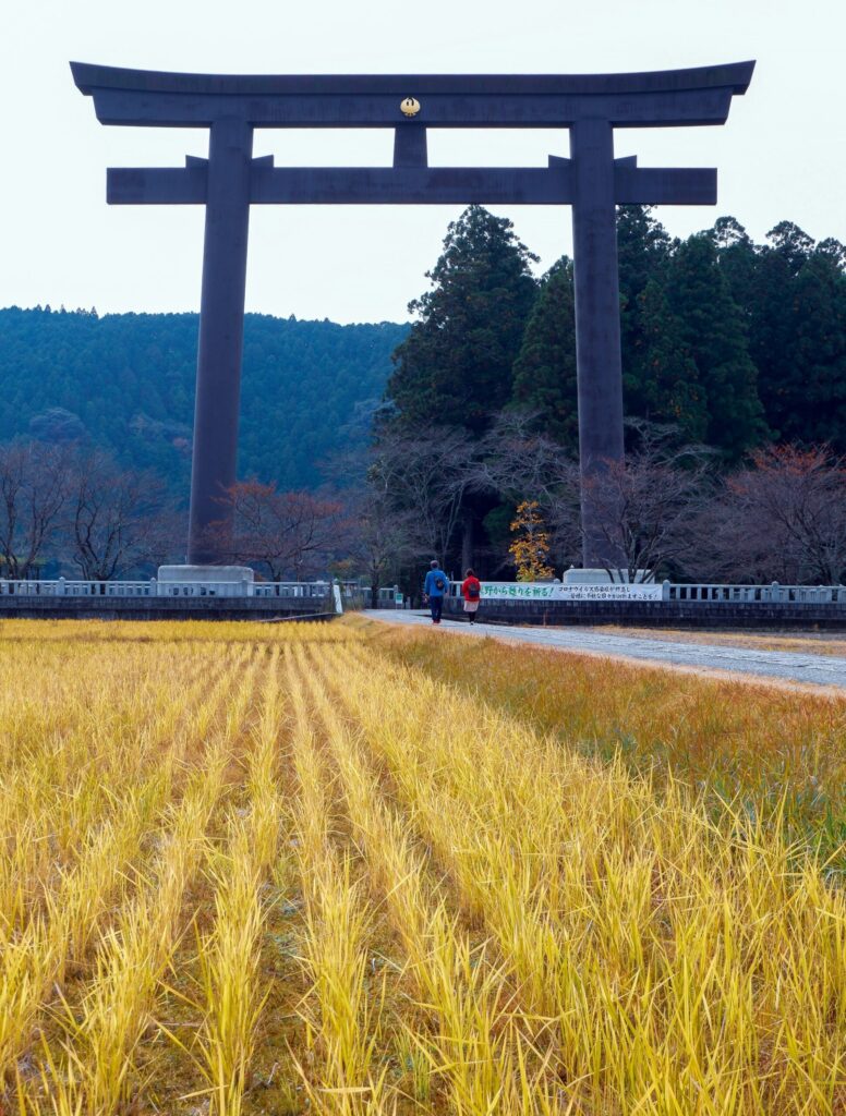 The giant torii gate at Oyunohara near Kumano Hongu Taisha, seen across golden rice fields