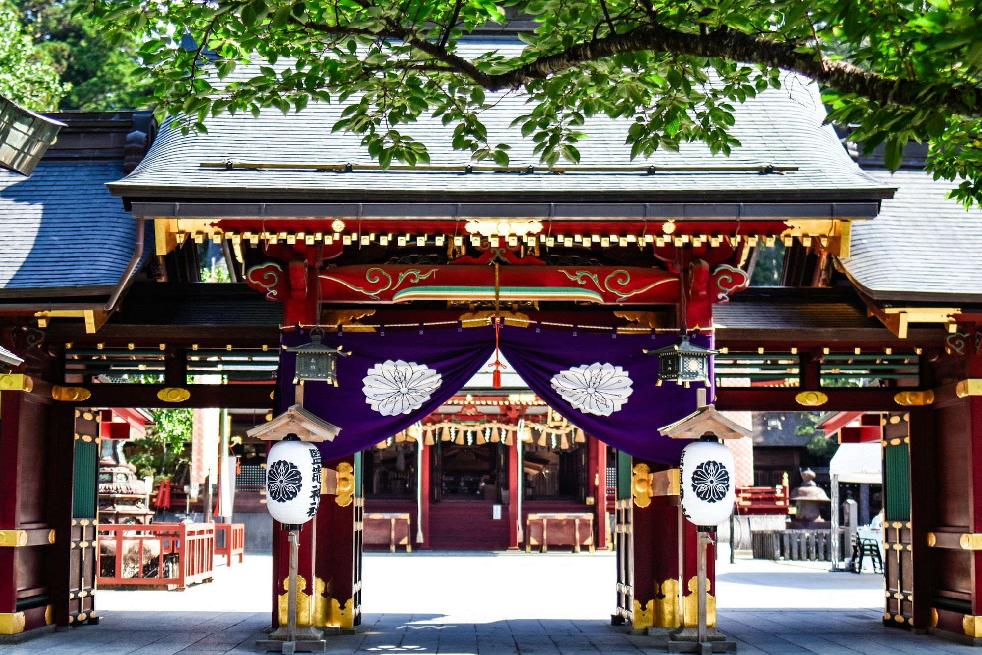The vermilion gate of Shiogama Shrine hung with purple curtains and lanterns