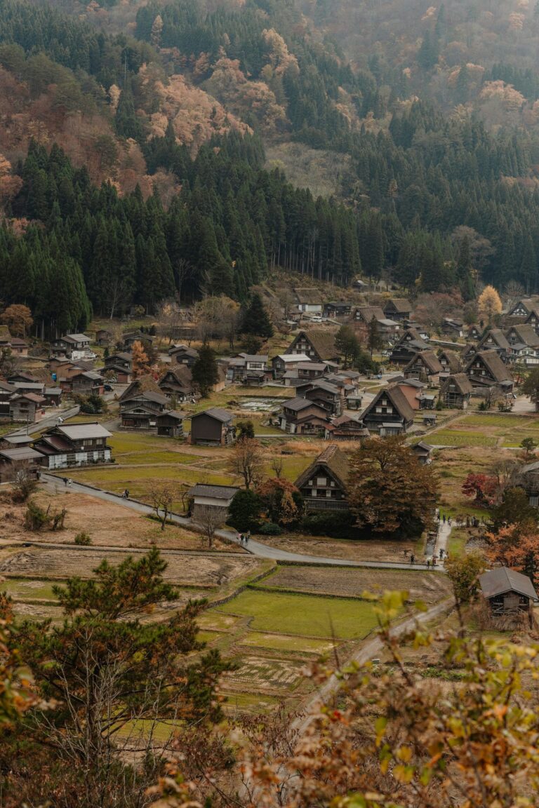 Thatched gassho-zukuri farmhouses of Ogimachi village in Shirakawa-go