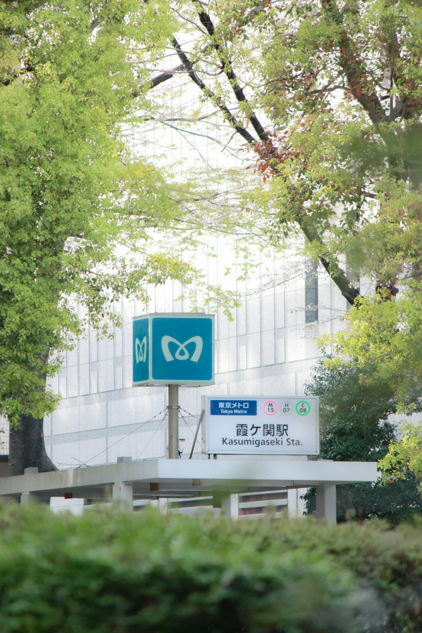 Blue Tokyo Metro station sign beside trees at a street entrance