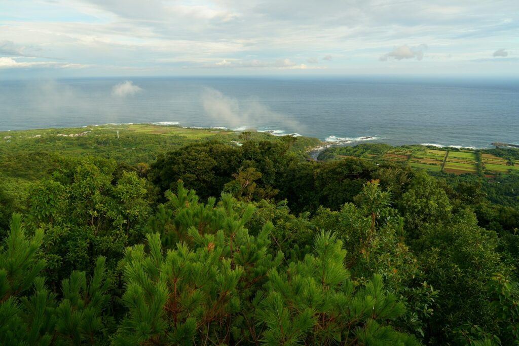 Forested hills of Yakushima overlooking the ocean